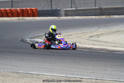 30 & 31/05/2015 : SuperKart 250, TTI Carbone et Championnat de France Long Circuit KZ2 et KZ2 Gentleman à Lédenon (Photos Stéphane Agnus) 2015 — karting