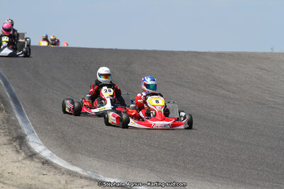 30 & 31/05/2015 : SuperKart 250, TTI Carbone et Championnat de France Long Circuit KZ2 et KZ2 Gentleman à Lédenon (Photos Stéphane Agnus) 2015 — karting