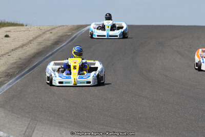 30 & 31/05/2015 : SuperKart 250, TTI Carbone et Championnat de France Long Circuit KZ2 et KZ2 Gentleman à Lédenon (Photos Stéphane Agnus) 2015 — karting
