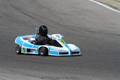 30 & 31/05/2015 : SuperKart 250, TTI Carbone et Championnat de France Long Circuit KZ2 et KZ2 Gentleman à Lédenon (Photos Stéphane Agnus) 2015 — karting