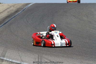 30 & 31/05/2015 : SuperKart 250, TTI Carbone et Championnat de France Long Circuit KZ2 et KZ2 Gentleman à Lédenon (Photos Stéphane Agnus) 2015 — karting