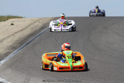 30 & 31/05/2015 : SuperKart 250, TTI Carbone et Championnat de France Long Circuit KZ2 et KZ2 Gentleman à Lédenon (Photos Stéphane Agnus) 2015 — karting