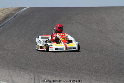 30 & 31/05/2015 : SuperKart 250, TTI Carbone et Championnat de France Long Circuit KZ2 et KZ2 Gentleman à Lédenon (Photos Stéphane Agnus) 2015 — karting