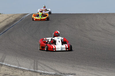 30 & 31/05/2015 : SuperKart 250, TTI Carbone et Championnat de France Long Circuit KZ2 et KZ2 Gentleman à Lédenon (Photos Stéphane Agnus) 2015 — karting