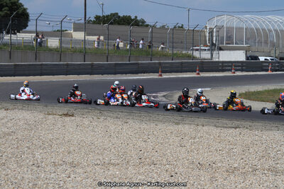 30 & 31/05/2015 : SuperKart 250, TTI Carbone et Championnat de France Long Circuit KZ2 et KZ2 Gentleman à Lédenon (Photos Stéphane Agnus) 2015 — karting