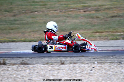 30 & 31/05/2015 : SuperKart 250, TTI Carbone et Championnat de France Long Circuit KZ2 et KZ2 Gentleman à Lédenon (Photos Stéphane Agnus) 2015 — karting