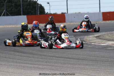 30 & 31/05/2015 : SuperKart 250, TTI Carbone et Championnat de France Long Circuit KZ2 et KZ2 Gentleman à Lédenon (Photos Stéphane Agnus) 2015 — karting