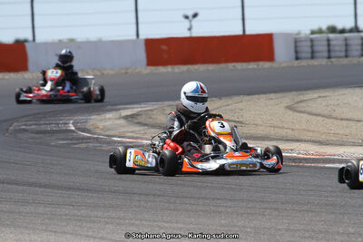 30 & 31/05/2015 : SuperKart 250, TTI Carbone et Championnat de France Long Circuit KZ2 et KZ2 Gentleman à Lédenon (Photos Stéphane Agnus) 2015 — karting