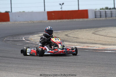 30 & 31/05/2015 : SuperKart 250, TTI Carbone et Championnat de France Long Circuit KZ2 et KZ2 Gentleman à Lédenon (Photos Stéphane Agnus) 2015 — karting