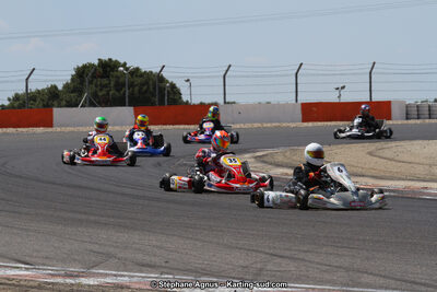 30 & 31/05/2015 : SuperKart 250, TTI Carbone et Championnat de France Long Circuit KZ2 et KZ2 Gentleman à Lédenon (Photos Stéphane Agnus) 2015 — karting