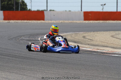 30 & 31/05/2015 : SuperKart 250, TTI Carbone et Championnat de France Long Circuit KZ2 et KZ2 Gentleman à Lédenon (Photos Stéphane Agnus) 2015 — karting