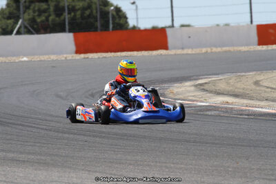 30 & 31/05/2015 : SuperKart 250, TTI Carbone et Championnat de France Long Circuit KZ2 et KZ2 Gentleman à Lédenon (Photos Stéphane Agnus) 2015 — karting