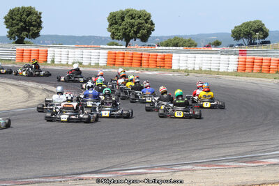 30 & 31/05/2015 : SuperKart 250, TTI Carbone et Championnat de France Long Circuit KZ2 et KZ2 Gentleman à Lédenon (Photos Stéphane Agnus) 2015 — karting