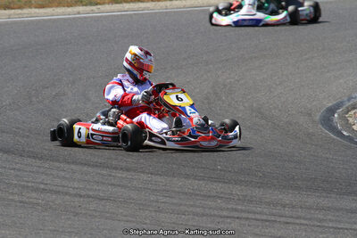 30 & 31/05/2015 : SuperKart 250, TTI Carbone et Championnat de France Long Circuit KZ2 et KZ2 Gentleman à Lédenon (Photos Stéphane Agnus) 2015 — karting