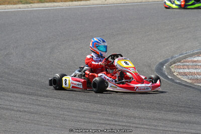 30 & 31/05/2015 : SuperKart 250, TTI Carbone et Championnat de France Long Circuit KZ2 et KZ2 Gentleman à Lédenon (Photos Stéphane Agnus) 2015 — karting