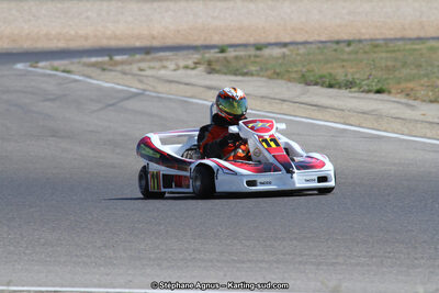 30 & 31/05/2015 : SuperKart 250, TTI Carbone et Championnat de France Long Circuit KZ2 et KZ2 Gentleman à Lédenon (Photos Stéphane Agnus) 2015 — karting