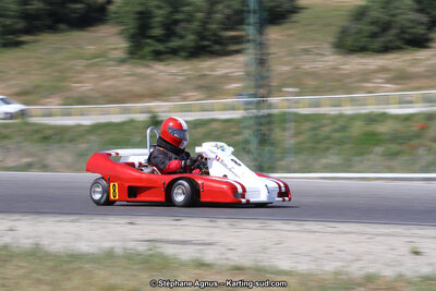 30 & 31/05/2015 : SuperKart 250, TTI Carbone et Championnat de France Long Circuit KZ2 et KZ2 Gentleman à Lédenon (Photos Stéphane Agnus) 2015 — karting