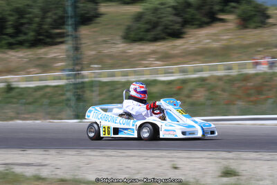 30 & 31/05/2015 : SuperKart 250, TTI Carbone et Championnat de France Long Circuit KZ2 et KZ2 Gentleman à Lédenon (Photos Stéphane Agnus) 2015 — karting