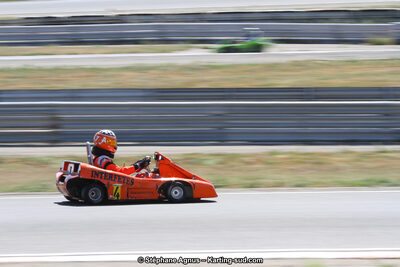 30 & 31/05/2015 : SuperKart 250, TTI Carbone et Championnat de France Long Circuit KZ2 et KZ2 Gentleman à Lédenon (Photos Stéphane Agnus) 2015 — karting