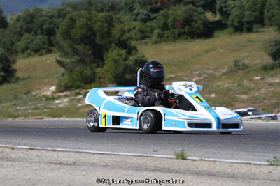30 & 31/05/2015 : SuperKart 250, TTI Carbone et Championnat de France Long Circuit KZ2 et KZ2 Gentleman à Lédenon (Photos Stéphane Agnus) 2015 — karting