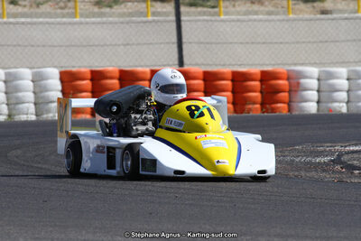 30 & 31/05/2015 : SuperKart 250, TTI Carbone et Championnat de France Long Circuit KZ2 et KZ2 Gentleman à Lédenon (Photos Stéphane Agnus) 2015 — karting
