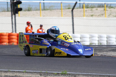 30 & 31/05/2015 : SuperKart 250, TTI Carbone et Championnat de France Long Circuit KZ2 et KZ2 Gentleman à Lédenon (Photos Stéphane Agnus) 2015 — karting