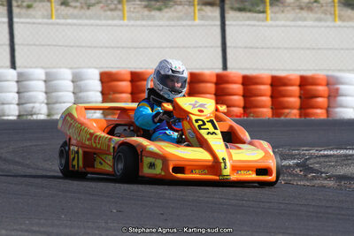 30 & 31/05/2015 : SuperKart 250, TTI Carbone et Championnat de France Long Circuit KZ2 et KZ2 Gentleman à Lédenon (Photos Stéphane Agnus) 2015 — karting