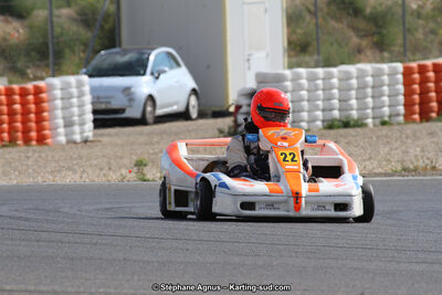 30 & 31/05/2015 : SuperKart 250, TTI Carbone et Championnat de France Long Circuit KZ2 et KZ2 Gentleman à Lédenon (Photos Stéphane Agnus) 2015 — karting