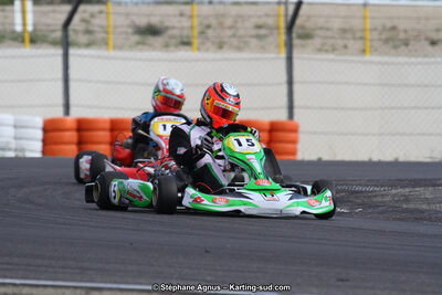 30 & 31/05/2015 : SuperKart 250, TTI Carbone et Championnat de France Long Circuit KZ2 et KZ2 Gentleman à Lédenon (Photos Stéphane Agnus) 2015 — karting