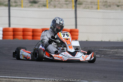 30 & 31/05/2015 : SuperKart 250, TTI Carbone et Championnat de France Long Circuit KZ2 et KZ2 Gentleman à Lédenon (Photos Stéphane Agnus) 2015 — karting