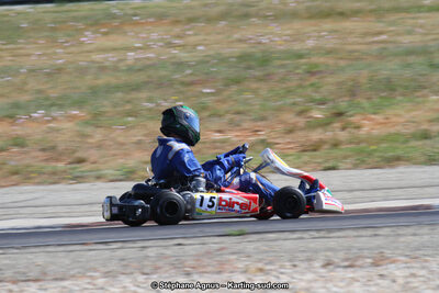 30 & 31/05/2015 : SuperKart 250, TTI Carbone et Championnat de France Long Circuit KZ2 et KZ2 Gentleman à Lédenon (Photos Stéphane Agnus) 2015 — karting