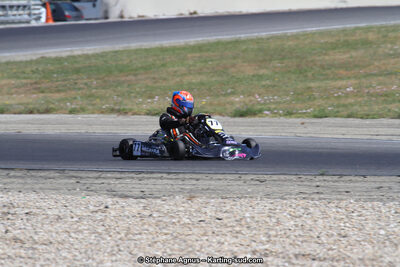 30 & 31/05/2015 : SuperKart 250, TTI Carbone et Championnat de France Long Circuit KZ2 et KZ2 Gentleman à Lédenon (Photos Stéphane Agnus) 2015 — karting