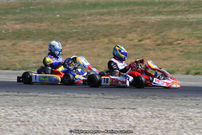 30 & 31/05/2015 : SuperKart 250, TTI Carbone et Championnat de France Long Circuit KZ2 et KZ2 Gentleman à Lédenon (Photos Stéphane Agnus) 2015 — karting