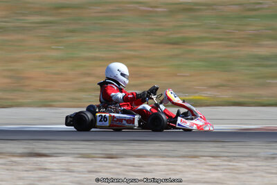 30 & 31/05/2015 : SuperKart 250, TTI Carbone et Championnat de France Long Circuit KZ2 et KZ2 Gentleman à Lédenon (Photos Stéphane Agnus) 2015 — karting