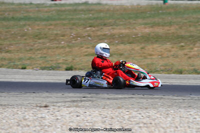30 & 31/05/2015 : SuperKart 250, TTI Carbone et Championnat de France Long Circuit KZ2 et KZ2 Gentleman à Lédenon (Photos Stéphane Agnus) 2015 — karting