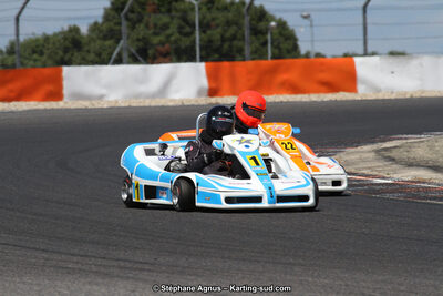 30 & 31/05/2015 : SuperKart 250, TTI Carbone et Championnat de France Long Circuit KZ2 et KZ2 Gentleman à Lédenon (Photos Stéphane Agnus) 2015 — karting