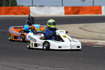 30 & 31/05/2015 : SuperKart 250, TTI Carbone et Championnat de France Long Circuit KZ2 et KZ2 Gentleman à Lédenon (Photos Stéphane Agnus) 2015 — karting