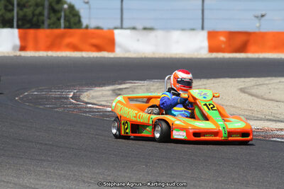 30 & 31/05/2015 : SuperKart 250, TTI Carbone et Championnat de France Long Circuit KZ2 et KZ2 Gentleman à Lédenon (Photos Stéphane Agnus) 2015 — karting
