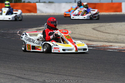 30 & 31/05/2015 : SuperKart 250, TTI Carbone et Championnat de France Long Circuit KZ2 et KZ2 Gentleman à Lédenon (Photos Stéphane Agnus) 2015 — karting