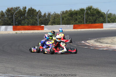 30 & 31/05/2015 : SuperKart 250, TTI Carbone et Championnat de France Long Circuit KZ2 et KZ2 Gentleman à Lédenon (Photos Stéphane Agnus) 2015 — karting