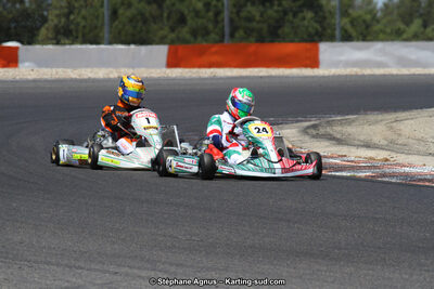 30 & 31/05/2015 : SuperKart 250, TTI Carbone et Championnat de France Long Circuit KZ2 et KZ2 Gentleman à Lédenon (Photos Stéphane Agnus) 2015 — karting