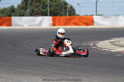 30 & 31/05/2015 : SuperKart 250, TTI Carbone et Championnat de France Long Circuit KZ2 et KZ2 Gentleman à Lédenon (Photos Stéphane Agnus) 2015 — karting
