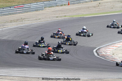 30 & 31/05/2015 : SuperKart 250, TTI Carbone et Championnat de France Long Circuit KZ2 et KZ2 Gentleman à Lédenon (Photos Stéphane Agnus) 2015 — karting