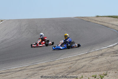 30 & 31/05/2015 : SuperKart 250, TTI Carbone et Championnat de France Long Circuit KZ2 et KZ2 Gentleman à Lédenon (Photos Stéphane Agnus) 2015 — karting