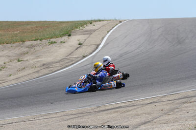 30 & 31/05/2015 : SuperKart 250, TTI Carbone et Championnat de France Long Circuit KZ2 et KZ2 Gentleman à Lédenon (Photos Stéphane Agnus) 2015 — karting