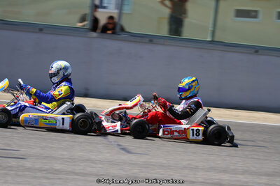 30 & 31/05/2015 : SuperKart 250, TTI Carbone et Championnat de France Long Circuit KZ2 et KZ2 Gentleman à Lédenon (Photos Stéphane Agnus) 2015 — karting