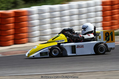 30 & 31/05/2015 : SuperKart 250, TTI Carbone et Championnat de France Long Circuit KZ2 et KZ2 Gentleman à Lédenon (Photos Stéphane Agnus) 2015 — karting