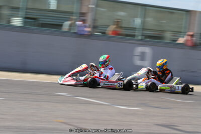 30 & 31/05/2015 : SuperKart 250, TTI Carbone et Championnat de France Long Circuit KZ2 et KZ2 Gentleman à Lédenon (Photos Stéphane Agnus) 2015 — karting