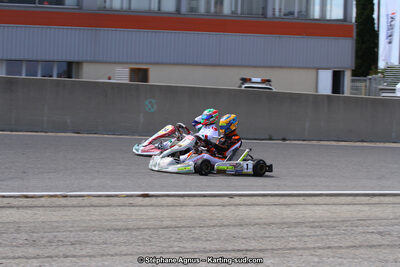 30 & 31/05/2015 : SuperKart 250, TTI Carbone et Championnat de France Long Circuit KZ2 et KZ2 Gentleman à Lédenon (Photos Stéphane Agnus) 2015 — karting