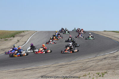 30 & 31/05/2015 : SuperKart 250, TTI Carbone et Championnat de France Long Circuit KZ2 et KZ2 Gentleman à Lédenon (Photos Stéphane Agnus) 2015 — karting